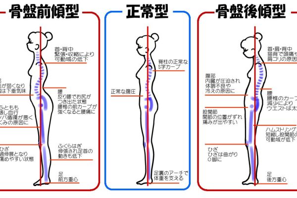 姿勢の良い　座り方・立ち方